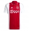 Ajax Steven Berghuis #23 Thuis tenue 2024-25 Korte Mouwen