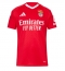 Benfica Thuis tenue 2024-25 Korte Mouwen