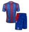 Crystal Palace Thuis tenue voor kinderen 2024-25 Korte Mouwen (+ broek)