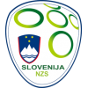 Slovenië EK 2024 Heren